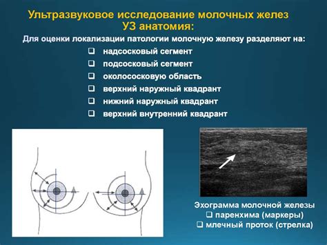 Осмотр железы в зеркале и на ощупь