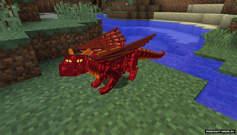 Основная информация о моде Dragon Mounts 2 для Майнкрафт