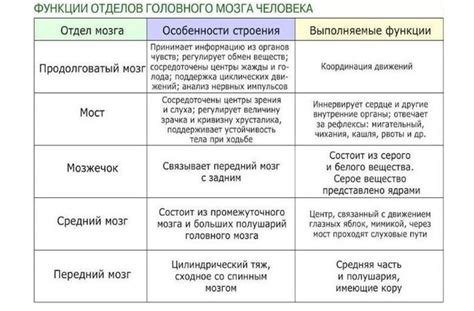 Основные зоны и функции