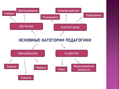 Основные категории