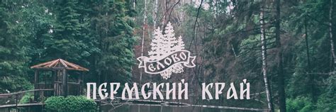 Основные контакты такси Елово Пермского края