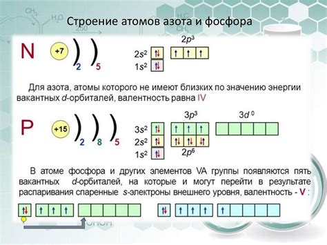 Основные металлы: характеристика азота, магния, фосфора и серы