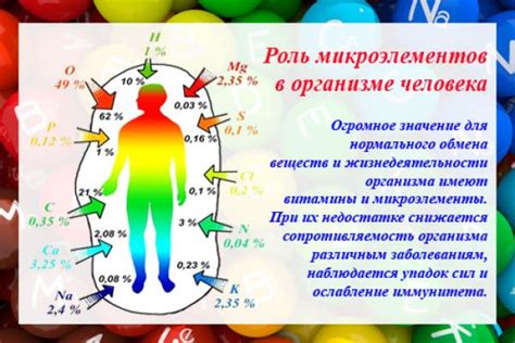 Основные микроэлементы и как они влияют на организм