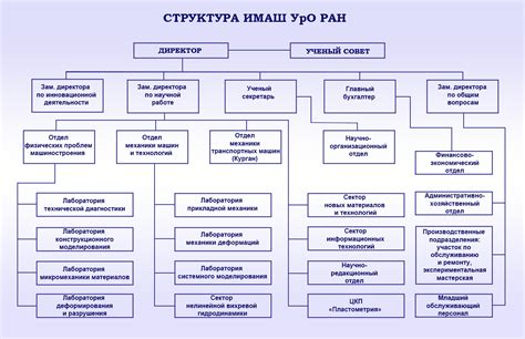 Основные направления исследований в институте