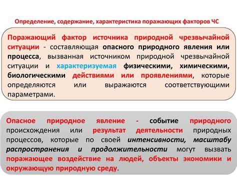 Основные понятия и общая характеристика