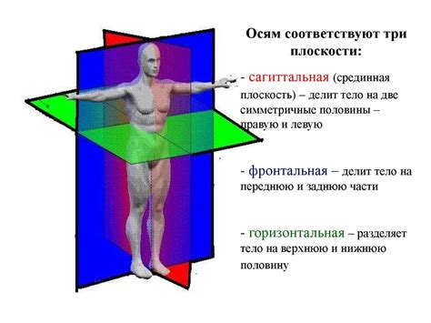 Основные понятия пластической деформации