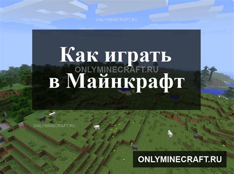 Основные правила игры майнкрафт