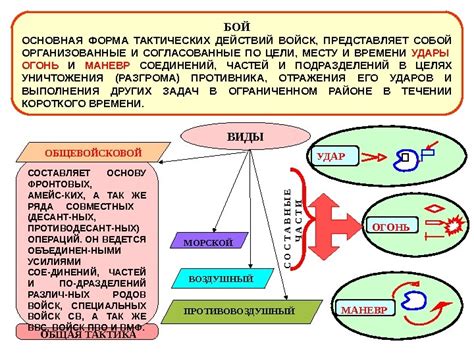 Основные представители и их воздействие