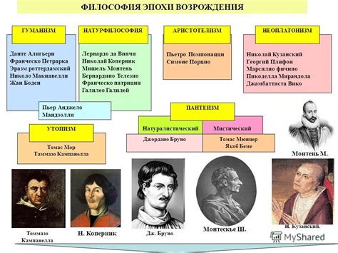 Основные представители принца металл