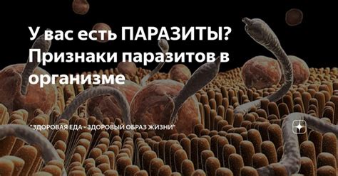 Основные признаки наличия плесени на железе