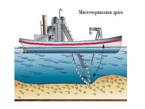 Основные способы добычи морской травы