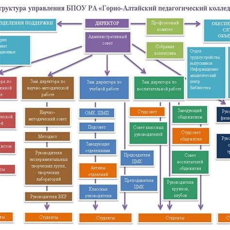 Основные услуги и подразделения