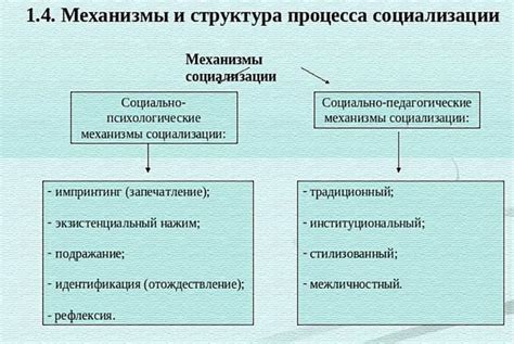 Основные этапы и механизмы