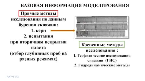 Основы и базовая информация