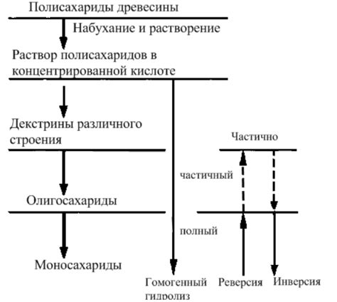 Особенности гидролиза