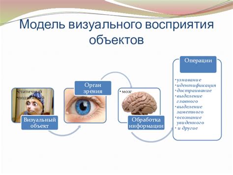 Особенности графики и визуального восприятия