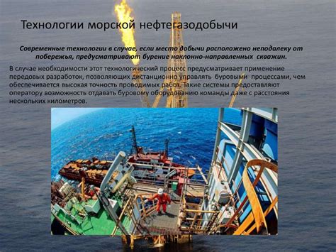 Особенности добычи и использования морской травы