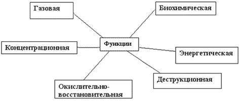 Особенности живого металла