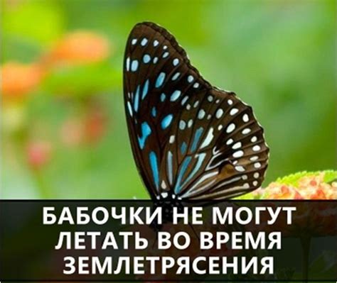 Особенности и интересные факты