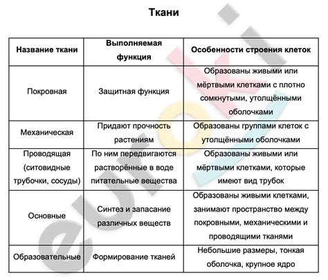 Особенности и назначение