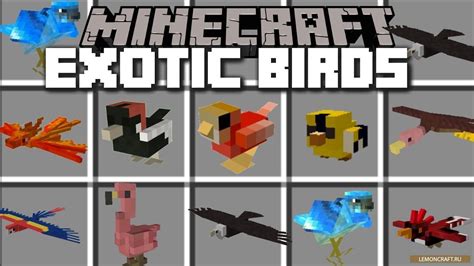 Особенности мода "Exotic Birds"