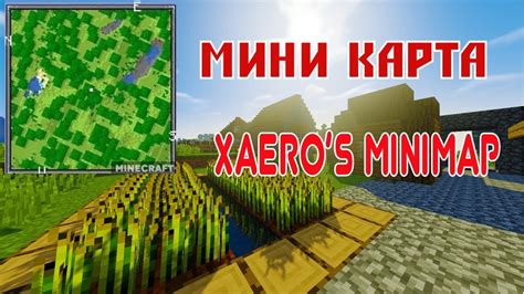 Особенности мода xaeros minimap