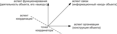 Особенности организации внутреннего пространства магазина