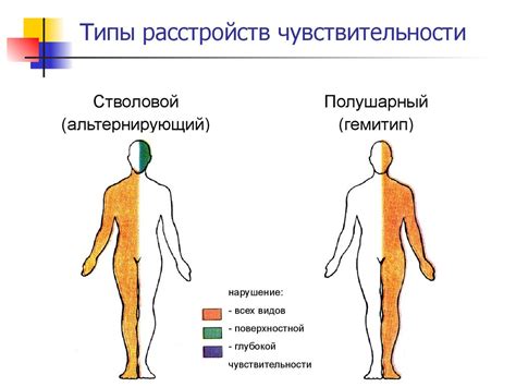 Особенности организма и индивидуальная чувствительность