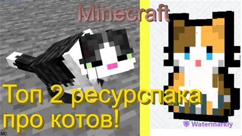 Особенности пищеварения котов в Minecraft