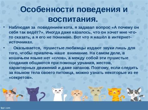 Особенности поведения и возможности прирученного кота