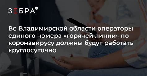 Особенности работы горячей линии госуслуг Владимирской области