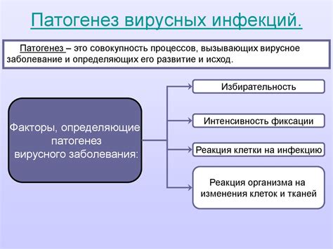 Особенности развития вирусных инфекций у взрослых