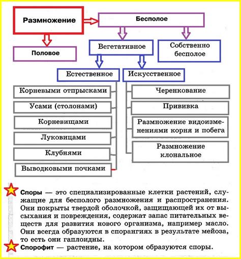 Особенности размножения металлов