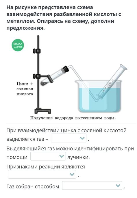 Особенности реакции кислот с щелочными металлами