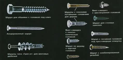 Особенности шурупов белого цвета