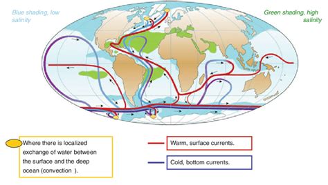 Особенности deep warm ocean