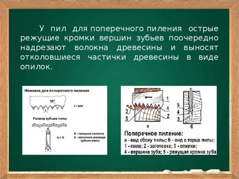 Острые режущие кромки