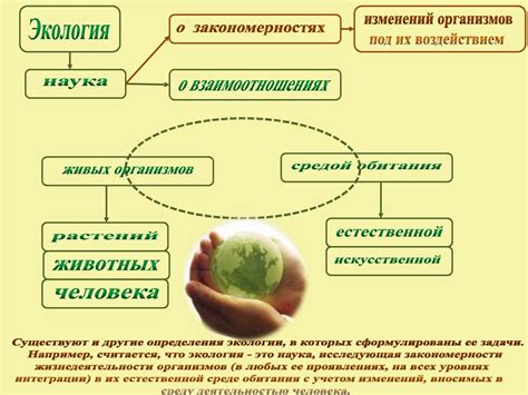 Ответственность и экологическая совместимость