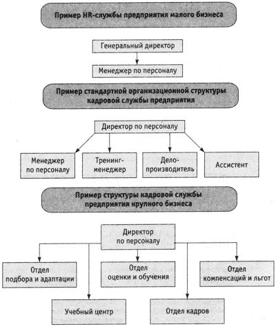 Отдел кадров: состав, задачи, функции