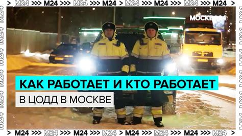 Отдел кадров ЦОДД в Москве