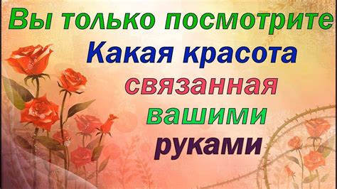 Отзывы игроков: восторг и восхищение реалистичной картой