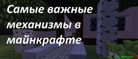 Отключение белого списка в Майнкрафт: важные инструкции и советы