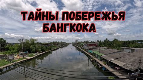 Откройте тайны побережья пустыни