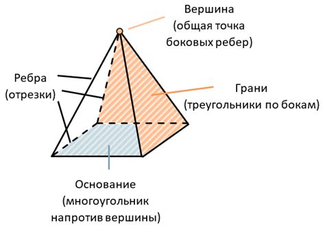 Отметьте основание пирамиды