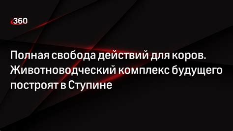 Отрыв от реальности и полная свобода действий