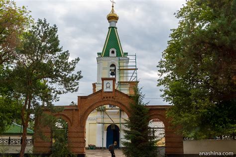 Официальный нотариус Петропавловка Воронежской области