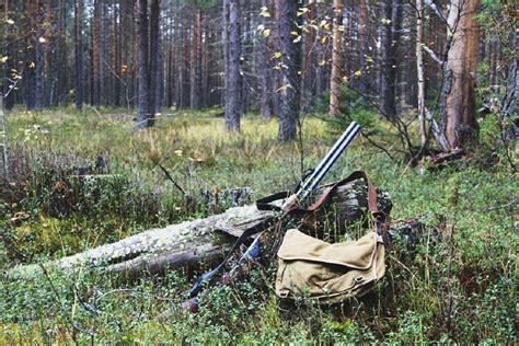 Охота в болотах и болотистых районах