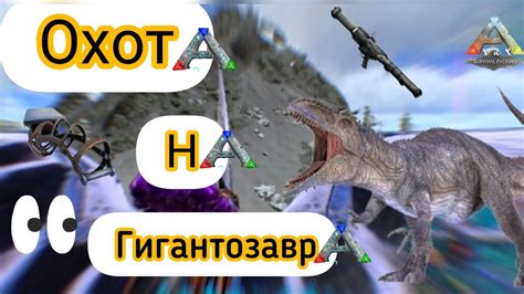 Охота на седло