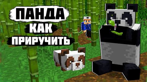 Панды в Minecraft чихают из-за интеграции в игру