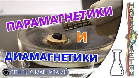 Парамагнетики: отличия и особенности